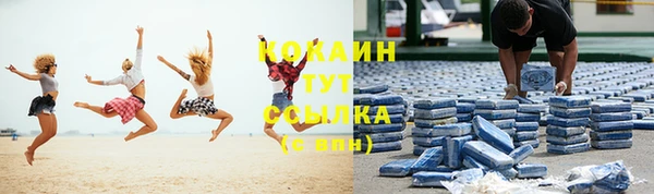 индика Абдулино