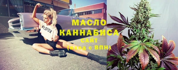 индика Абдулино