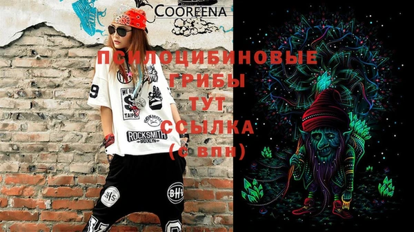 СК Абаза