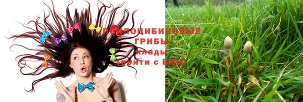 скорость Алзамай
