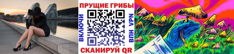 Галлюциногенные грибы Magic Shrooms mega ссылки Новоаннинский